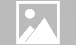 动漫资源迅雷,畅享海量动漫，一键下载无忧体验